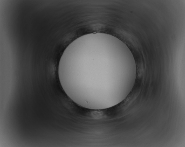 X0000100320279200806191009