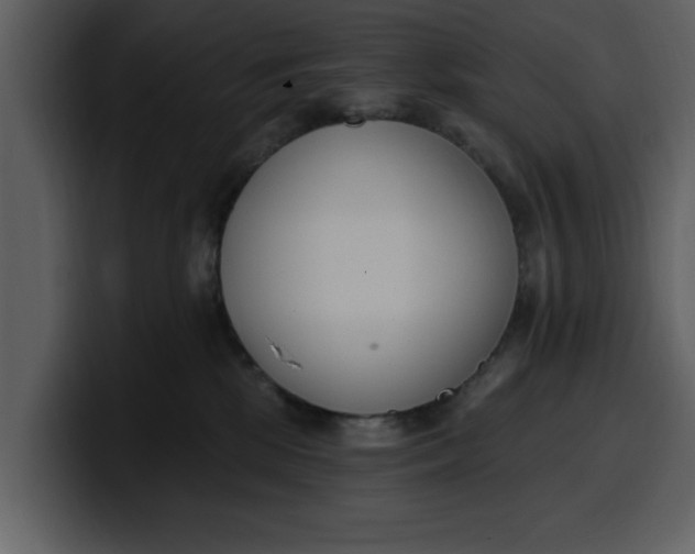 X0000100320281200806191009