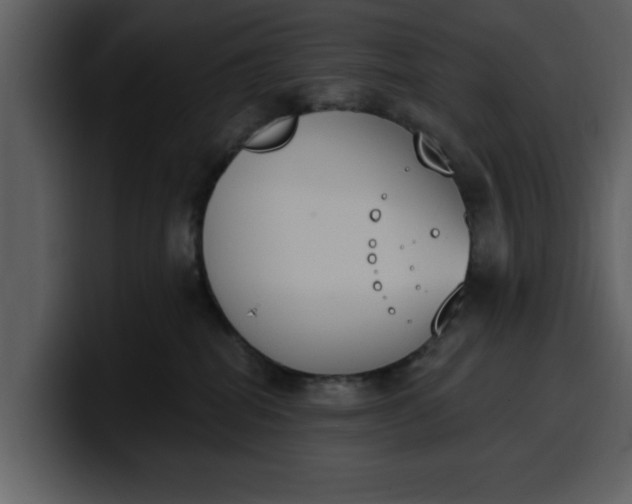 X0000100320282200806191009