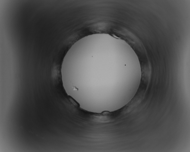 X0000100320284200806191010