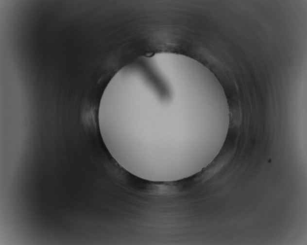 X0000100320286200806191010