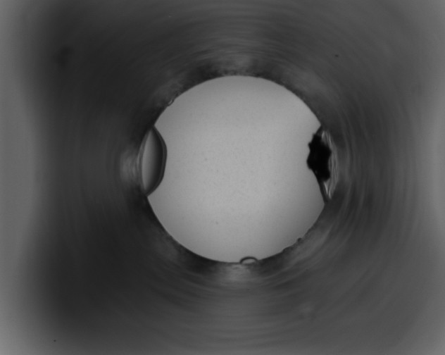 X0000100320287200806191010