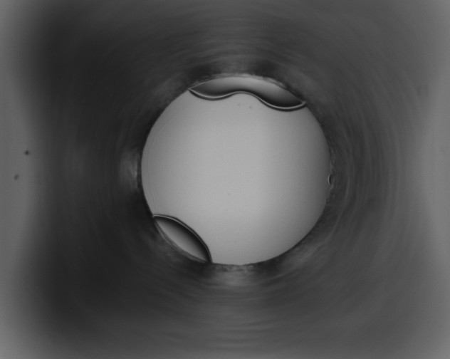 X0000100320288200806191010