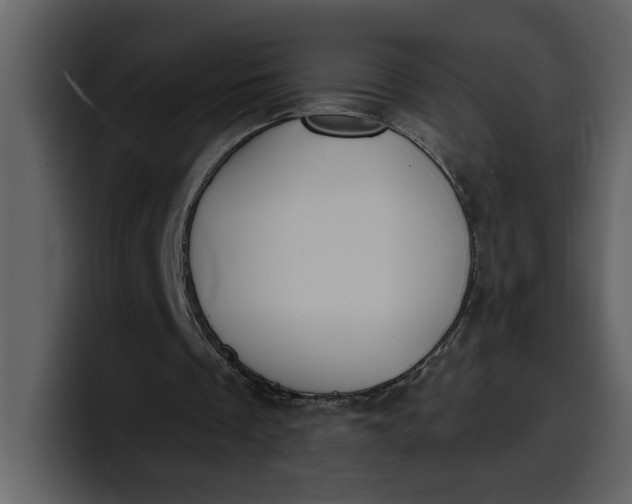 X0000100320289200806191009