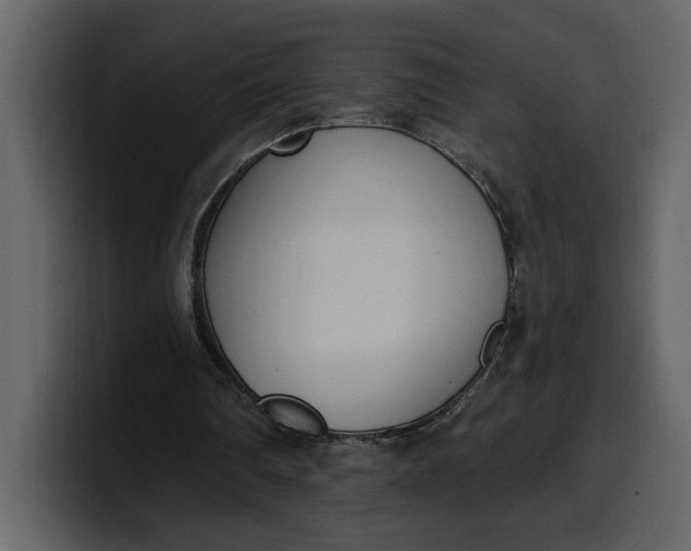 X0000100320290200806191009