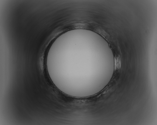 X0000100320291200806191009