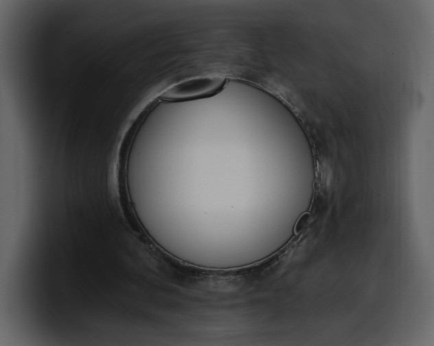 X0000100320292200806191009