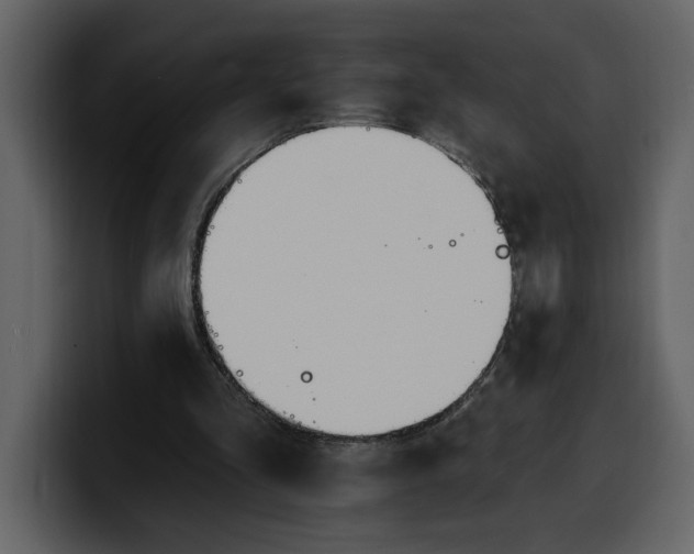 X0000100320293200806191009