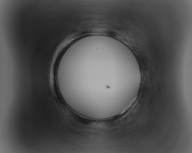 X0000100320294200806191009