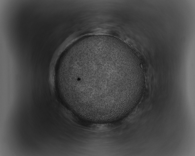 X0000100320295200806191009