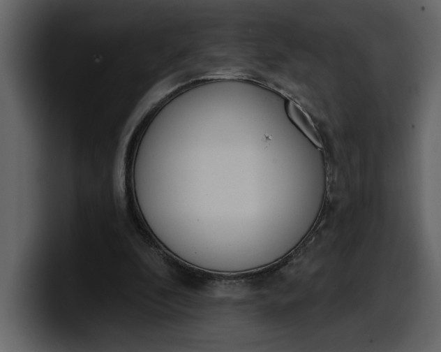 X0000100320296200806191009