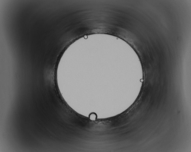 X0000100320297200806191009