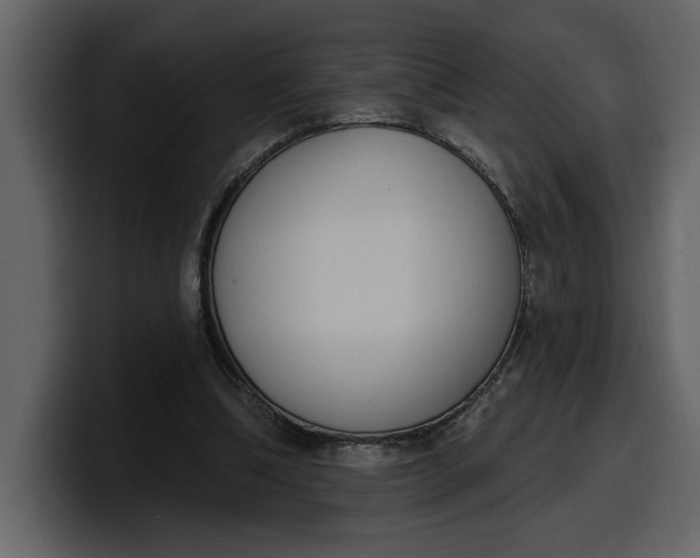 X0000100320298200806191009