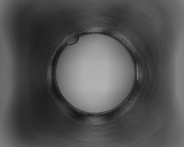 X0000100320300200806191009