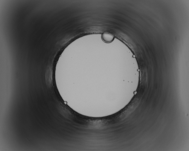 X0000100320301200806191009