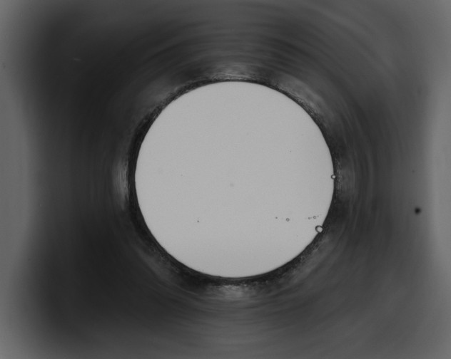 X0000100320302200806191009