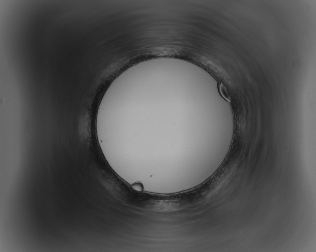 X0000100320303200806191009