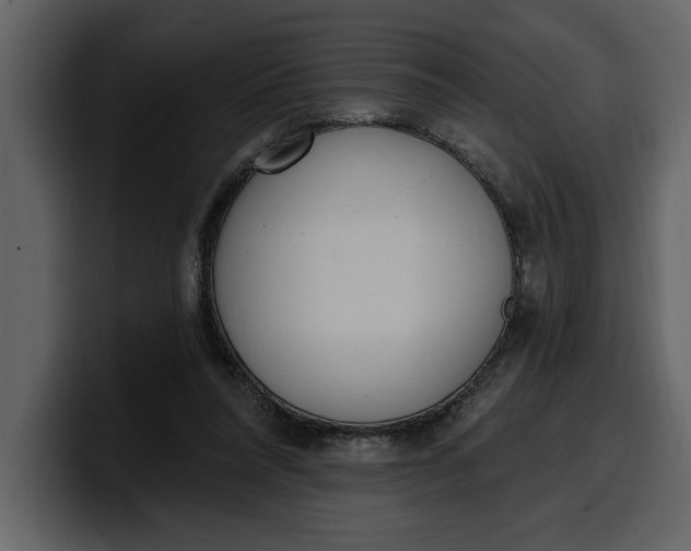 X0000100320304200806191009