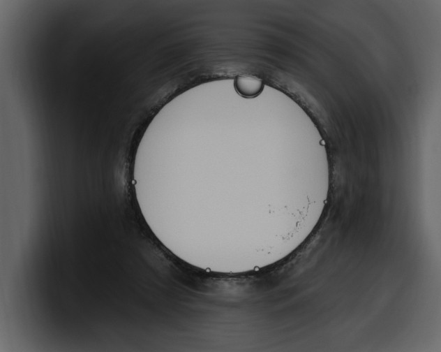 X0000100320305200806191009