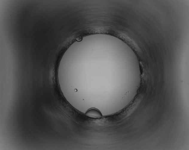 X0000100320306200806191009