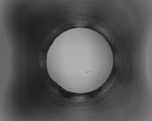 X0000100320307200806191009