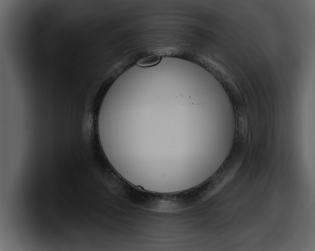 X0000100320308200806191009