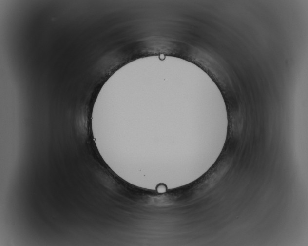 X0000100320309200806191009