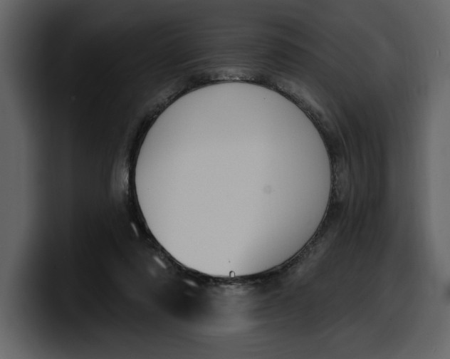 X0000100320310200806191009