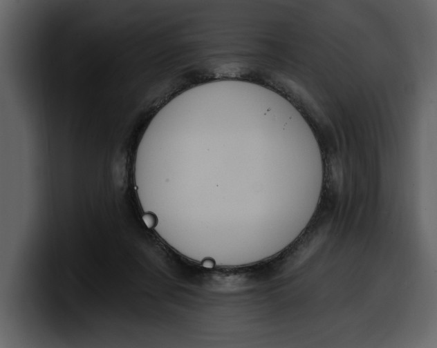 X0000100320311200806191009