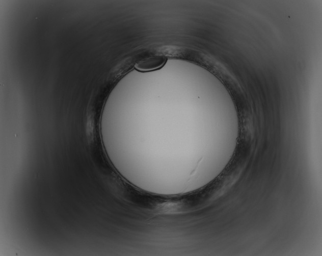 X0000100320312200806191009