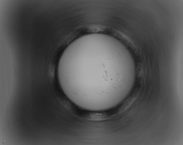 X0000100320315200806191009