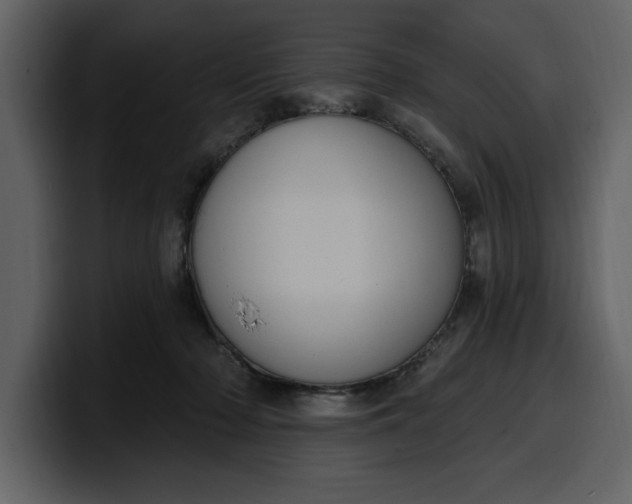 X0000100320318200806191009