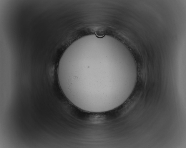 X0000100320319200806191009