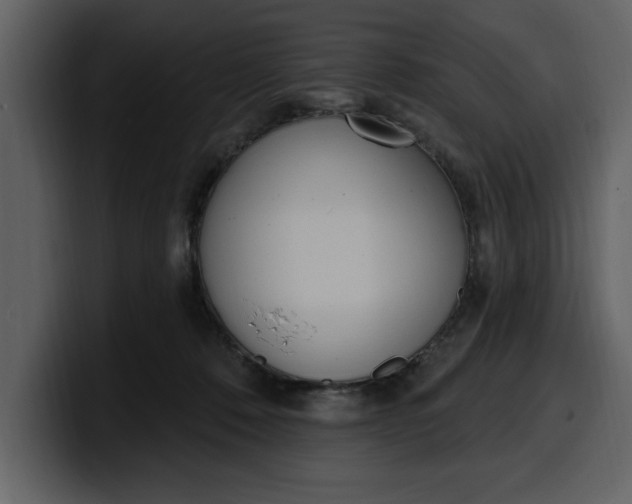 X0000100320320200806191008