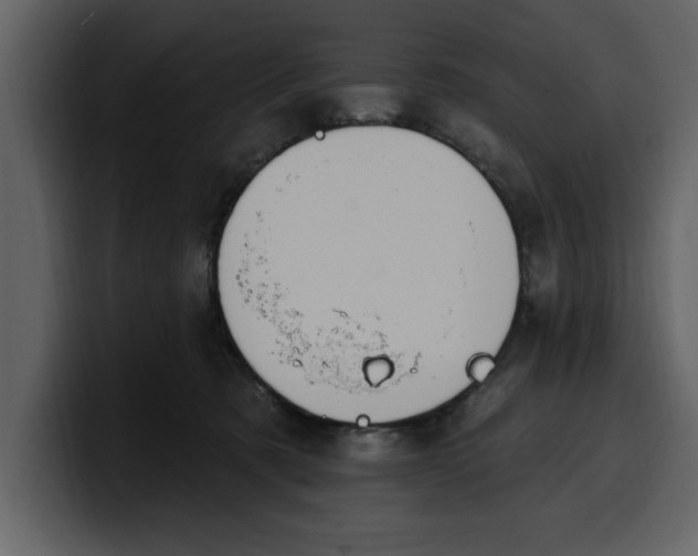 X0000100320321200806191008