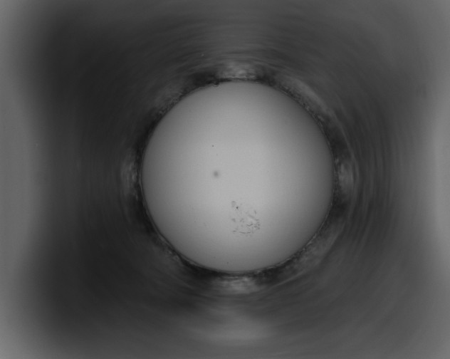 X0000100320322200806191008