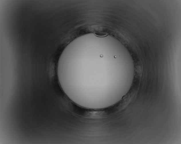 X0000100320323200806191008