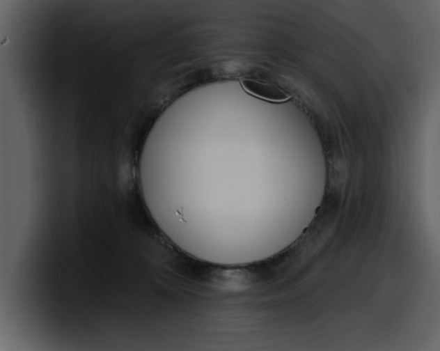 X0000100320324200806191008