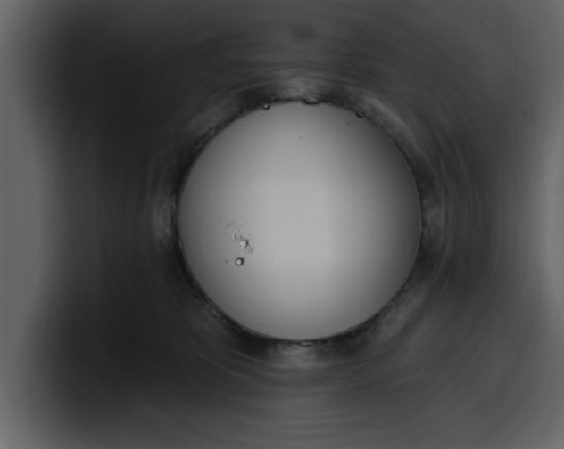 X0000100320325200806191008