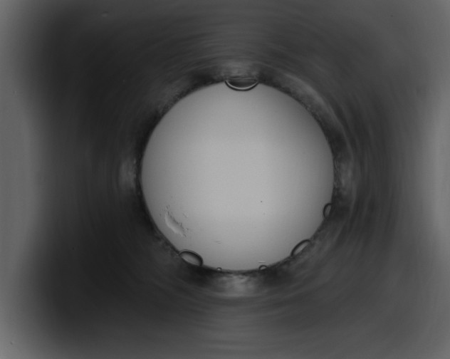 X0000100320326200806191008