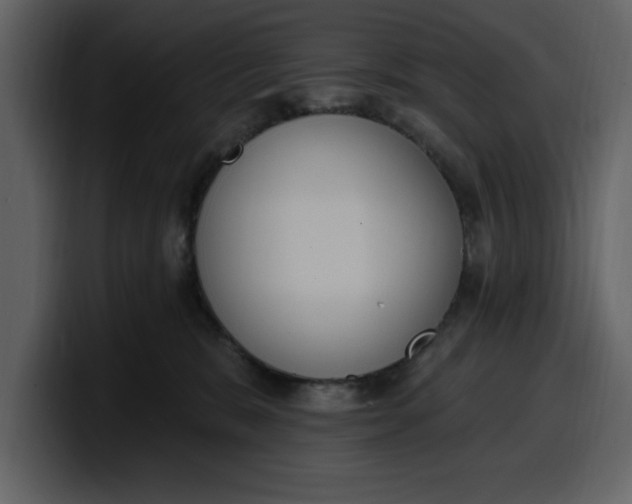 X0000100320327200806191008