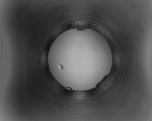 X0000100320328200806191008