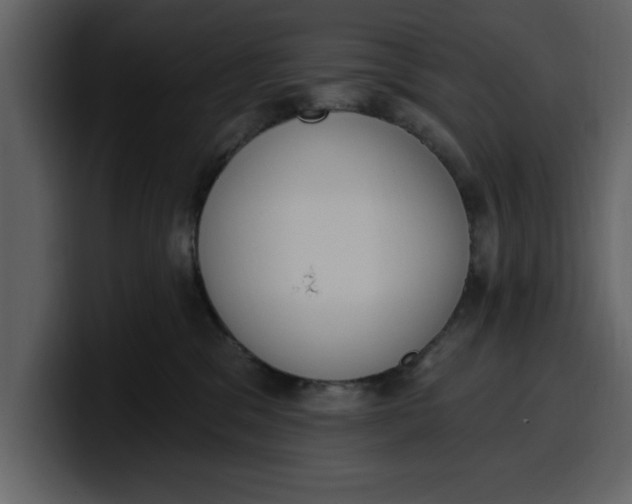 X0000100320329200806191008