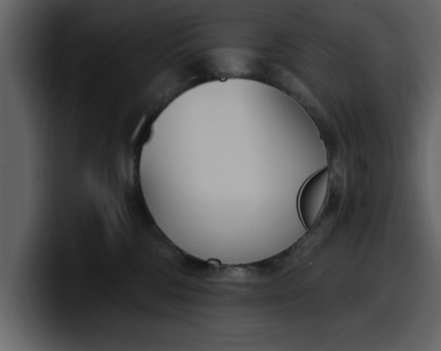 X0000100320330200806191008