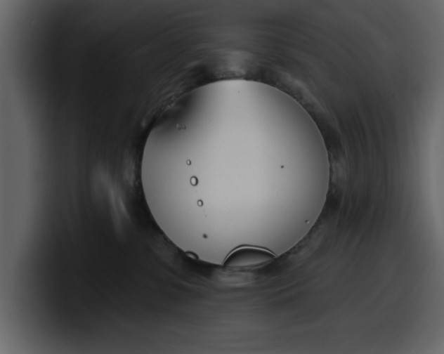 X0000100320331200806191008