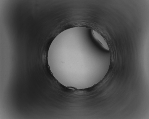 X0000100320332200806191008