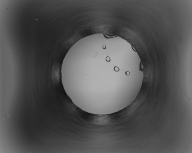 X0000100320334200806191008