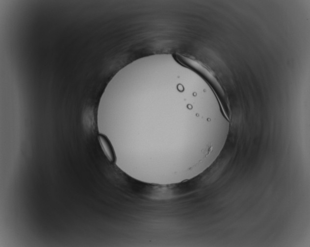 X0000100320335200806191008