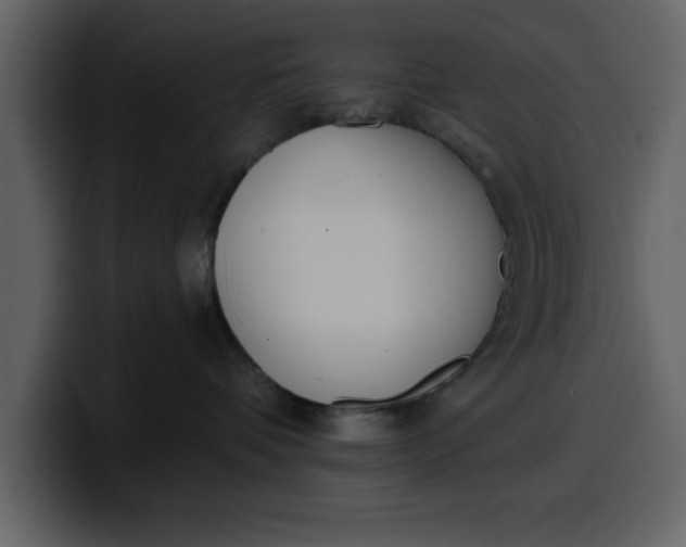 X0000100320336200806191008