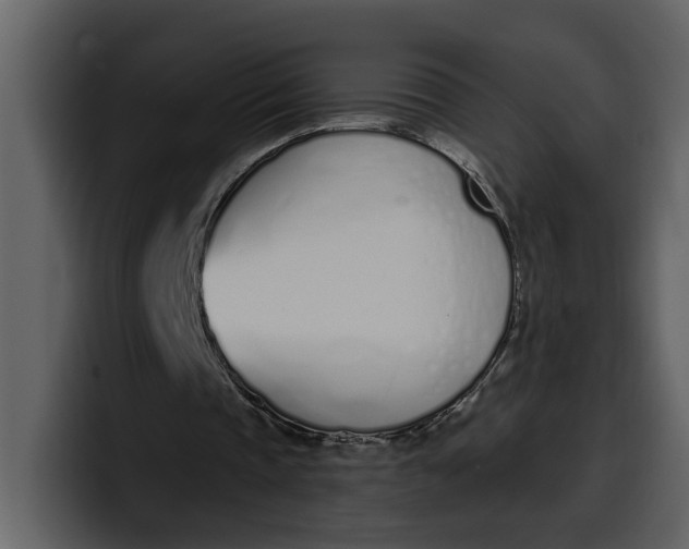 X0000100320337200806191008